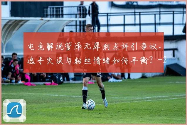 电竞解说管泽元犀利点评引争议,选手失误与粉丝情绪如何平衡?
