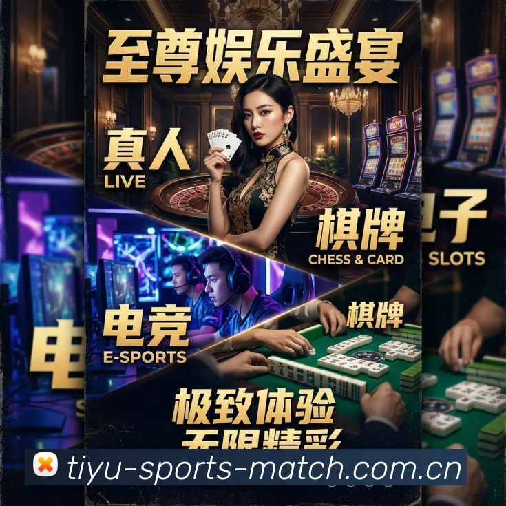 333体育足球热门赛事平台生态图